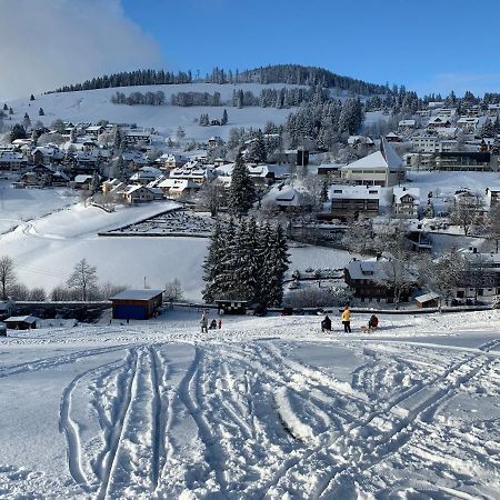 Haus am Sonnenberg,Todtnauberg, Ferienwohnung 002, direkt am Skilift-Skipiste, Nähe Feldberg Exterior foto