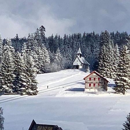 Haus am Sonnenberg,Todtnauberg, Ferienwohnung 002, direkt am Skilift-Skipiste, Nähe Feldberg Exterior foto