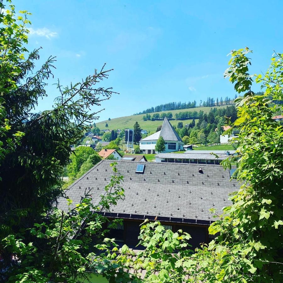 Haus am Sonnenberg,Todtnauberg, Ferienwohnung 002, direkt am Skilift-Skipiste, Nähe Feldberg Exterior foto