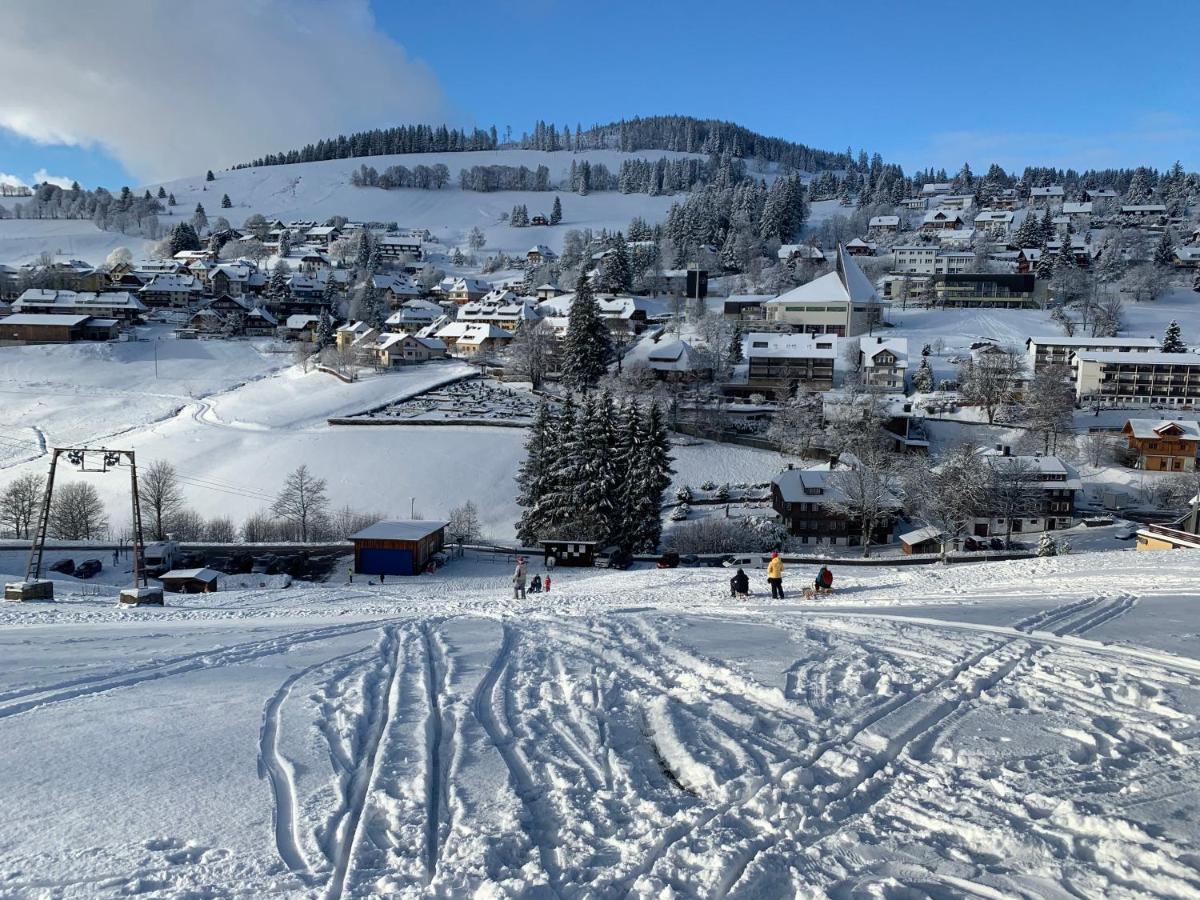 Haus am Sonnenberg,Todtnauberg, Ferienwohnung 002, direkt am Skilift-Skipiste, Nähe Feldberg Exterior foto