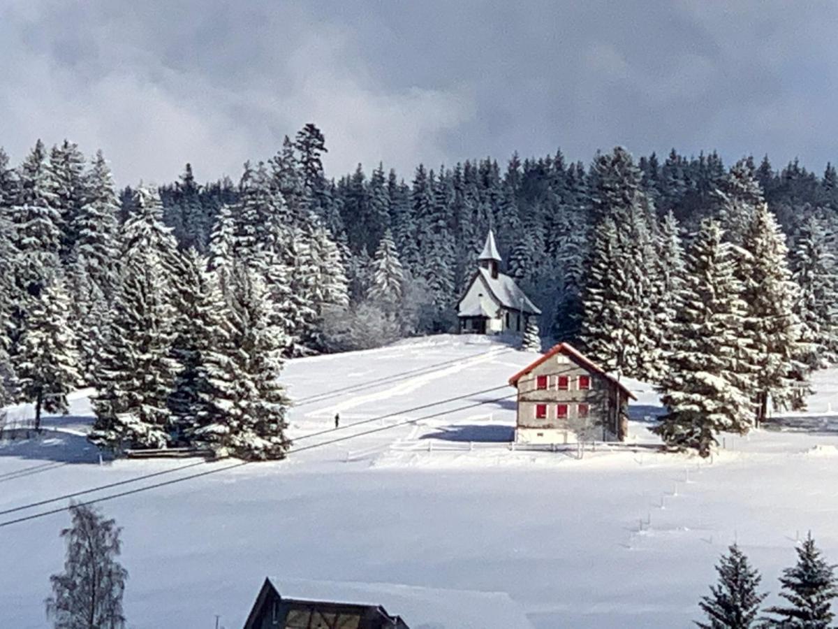 Haus am Sonnenberg,Todtnauberg, Ferienwohnung 002, direkt am Skilift-Skipiste, Nähe Feldberg Exterior foto