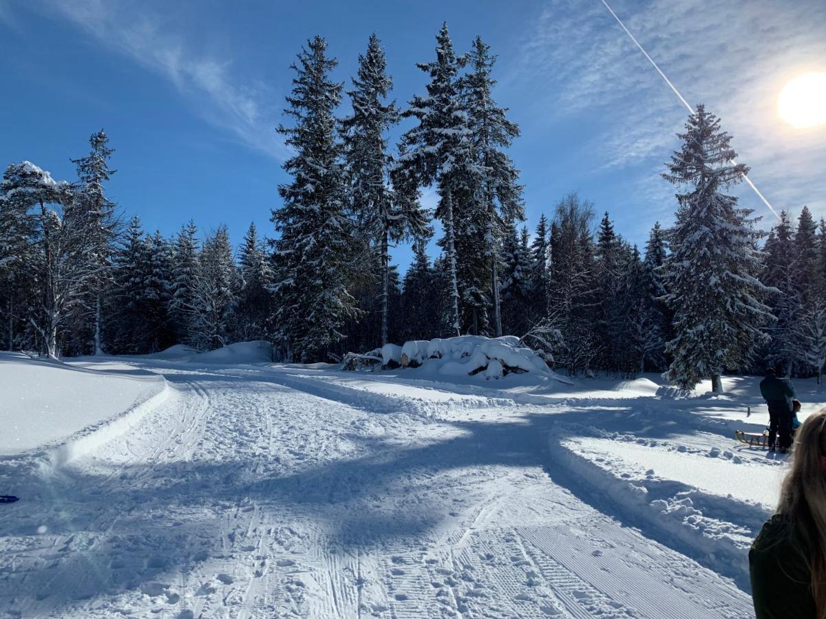 Haus am Sonnenberg,Todtnauberg, Ferienwohnung 002, direkt am Skilift-Skipiste, Nähe Feldberg Exterior foto